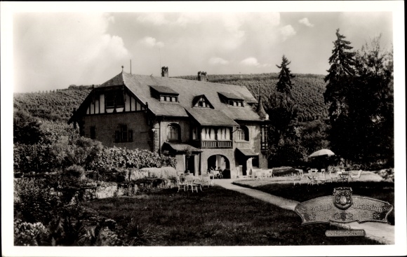 Postcard Halsheim am Rhein, Weingut Dr. Lockpick