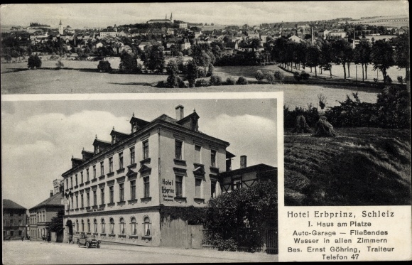 Ak Schleiz im Vogtland Thüringen, Panorama, Hotel Erbprinz