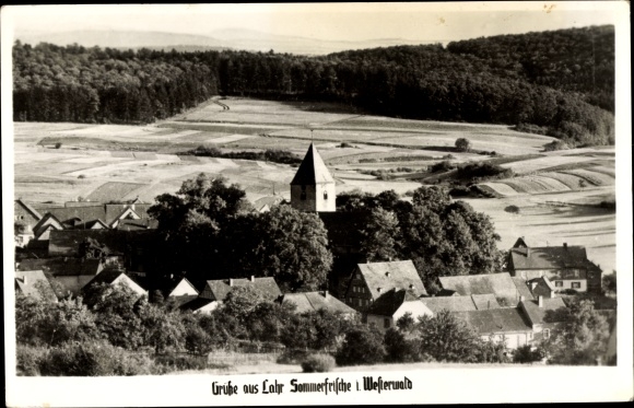 PC Lahr Waldbrunn in the Westerwald, partial view, forest