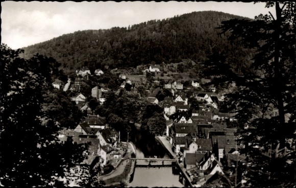 Postcard Neuenburg am Rhein Baden, view to Sägkopt, picturesque landscape, small cluster of houses