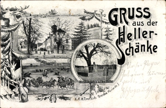 Postcard Dresden Hellerau, Greetings from the Heller Schänke, Deer Memorial Stone, Landscape, Animals