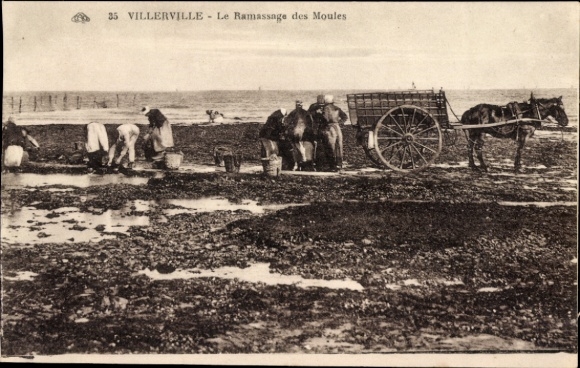 PC Villerville Calvados, shell collector