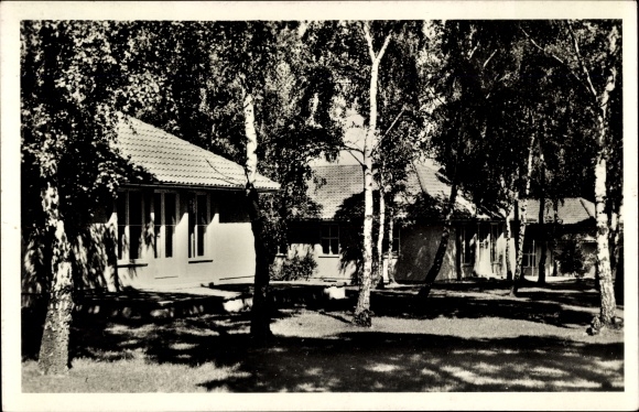 Photo Postcard Wustermark in Brandenburg, Olympic village, houses in the birch forest
