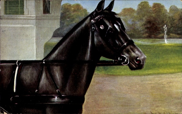 Artist Postcard Müller, August, Black harnessed horse