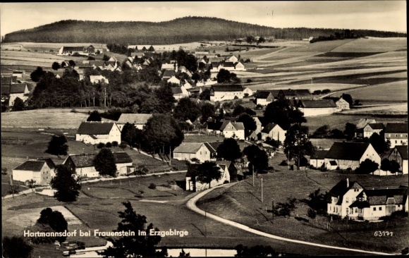 Ansichtkaart Hartmannsdorf Reichenau in het Ertsgebergte, panorama