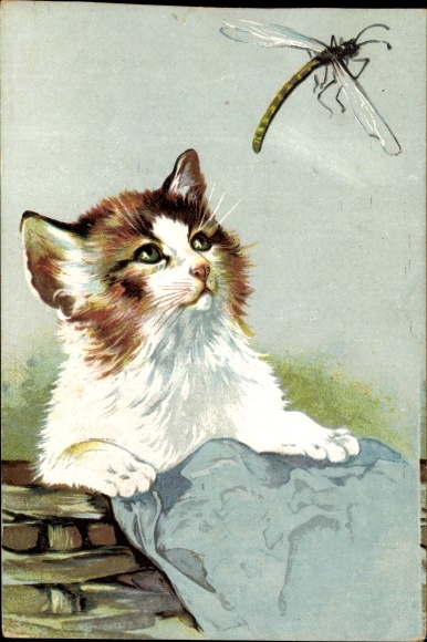 Postcard kitten watches a dragonfly