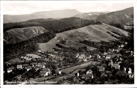Ak Tiergarten Oberkirch in Baden Württemberg, Renchtal, Panorama, Vogelschau