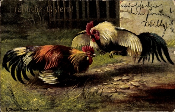 Artist Postcard Müller, August, Two roosters fighting