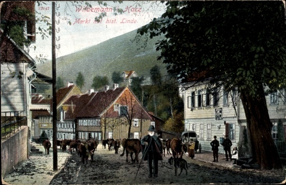 Postcard Wildemann Clausthal Zellerfeld in the Upper Harz, market, linden tree, cattle drive
