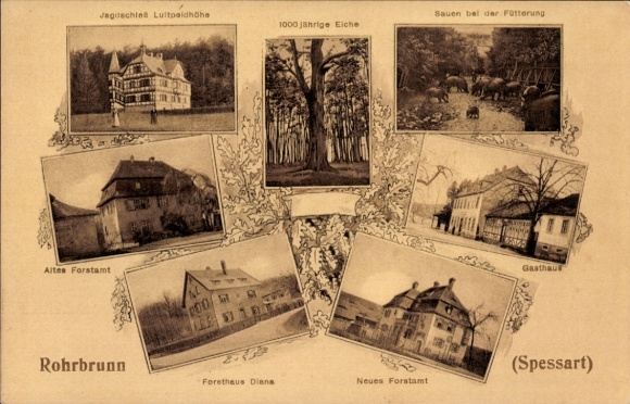 Postcard Rohrbrunn Weibersbrunn in the Spessart, Forsthaus Diana, Forestry Office, Oak, Hunting Lodge