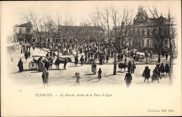 Ak Tlemcen Algerien, Markt, Menschen, Pferde, Gebäude, Bäume