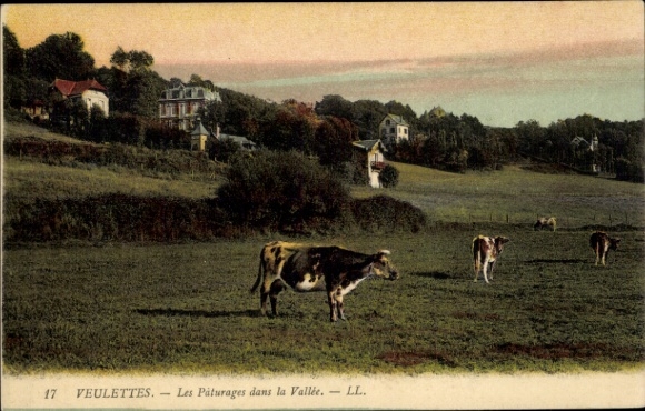 Postcard Veulettes sur Mer Seine Maritime, les Paturages dans la Vallee
