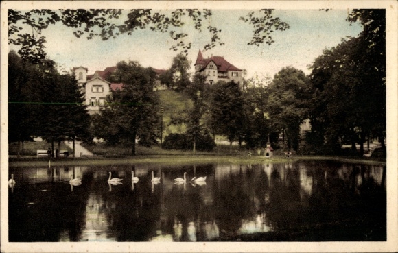 Postcard Bad Sulza in Thuringia, spa park, Am Schwanenteich, duck house