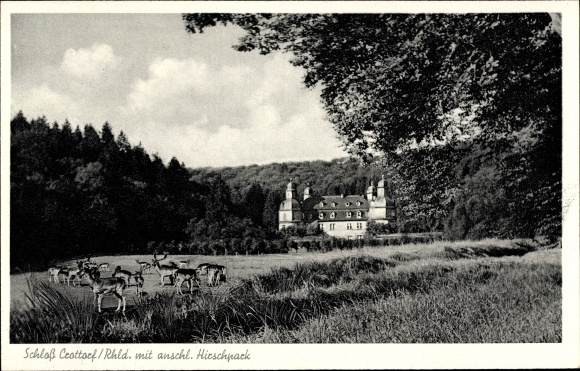 Postcard Crottorf Friesenhagen Rheinland Pfalz, Schloss Crottorf, Hirschpark