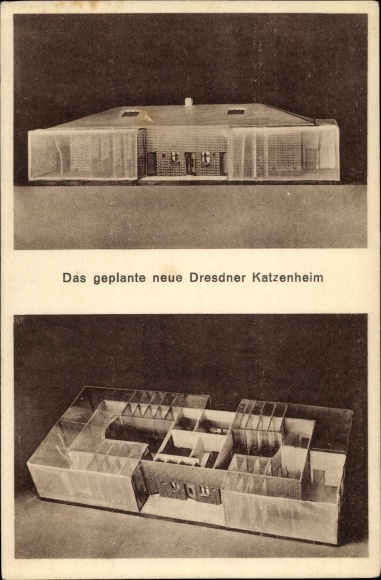 Postcard The planned new Dresden cat home