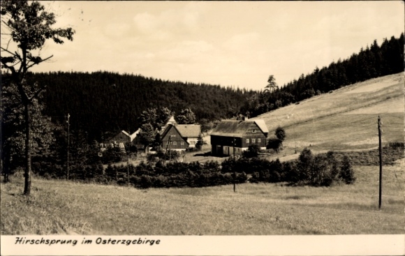 Postcard Hirschsprung Altenberg Erzgebirge, Hirschsprung, rural landscape, forest, meadows, buildings,
