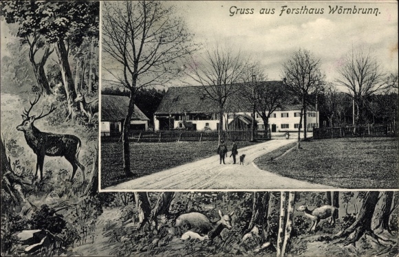 PC Wörnbrunn Grünwald in the district of Munich Upper Bavaria, lot to the forester&#39;s house, deer in the forest
