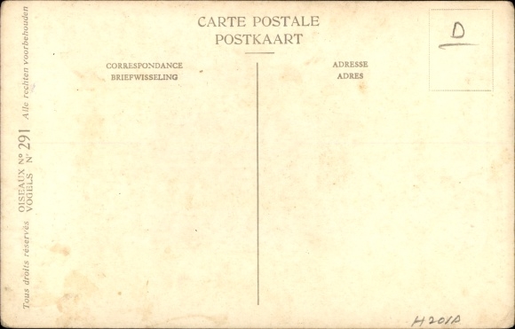 Artists PC Dupond, Hubert, White Gauthier