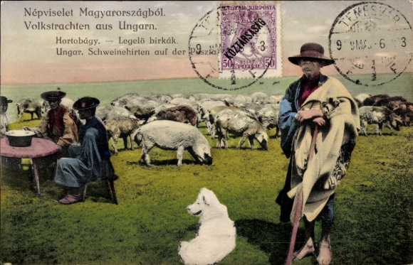 Ak Badacsony Ungarn, Schweinehirten auf der Wiese, Tracht