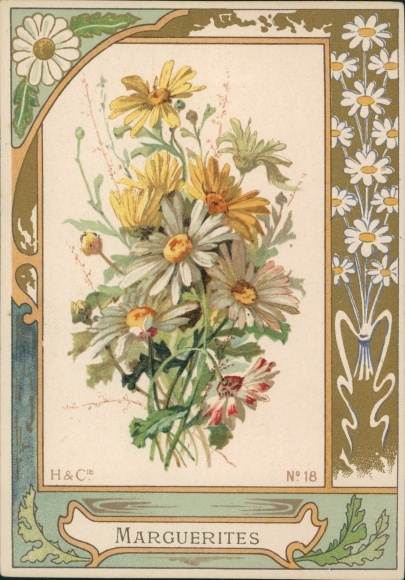 Passepartout Ak Blumenstrauß, Margeriten