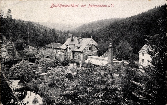 Ak Netzschkau im Vogtland, Bad Rosenthal, Waldlandschaft