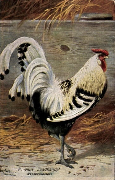 Kunstenaar Ak Schönian, Alfred, stamboom doffer, zwart witte doffer