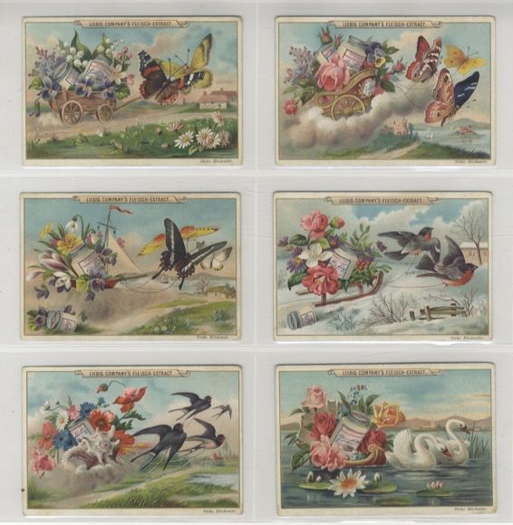Liebig Pictures Series A 242 Flowers, Birds and Butterflies 1893