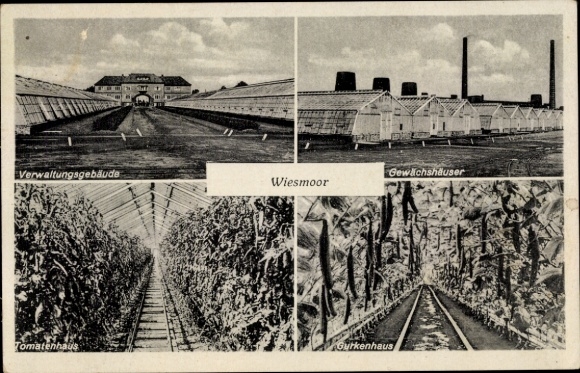 Postcard Wiesmoor in East Frisia, administration building, greenhouses, tomato house, cucumber house
