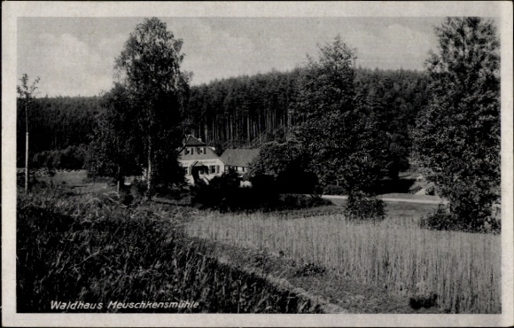 Ak Weißenborn Holzland Thüringen, Mühltal, Meuschkensmühle, Waldhaus  Landschaft mit Bäumen, Feld