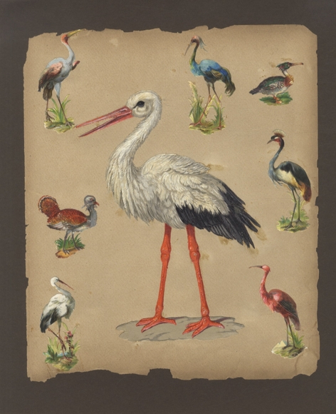 8 wafers storks, flamingos, herons, ducks, approx. 21 x 16 cm to 4 x 5 cm