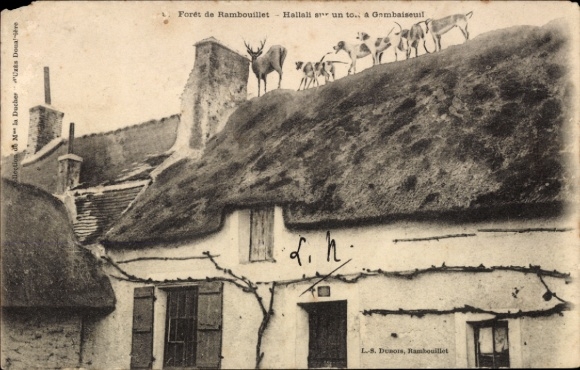 Ak Rambouillet Yvelines, Historische , Dach mit Figuren, Tiere auf dem Dach, Forêt de Rambouillet