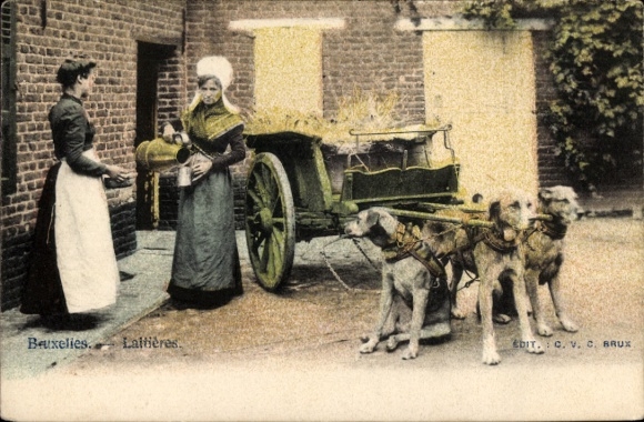 Ak Brüssel, Milchmädchen, Hundekarren, Arbeitshunde