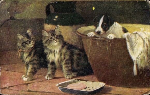 Artist Postcard Two domestic cats watching terrier puppies, Tuck 8884