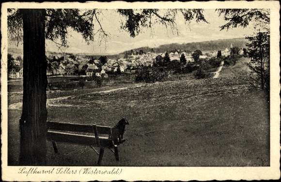 Ak Selters in het Westerwald, Panorama, Bank