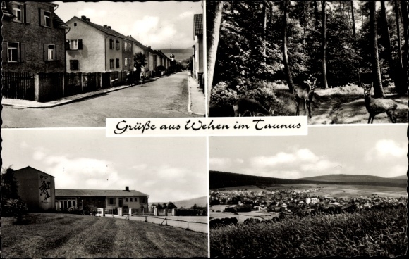 Ak Wehen im Taunus Hessen, Gesamtansicht, Straße, Wald, Reh