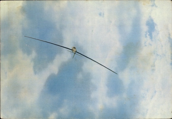 Postcard Glider Standard Dragonfly