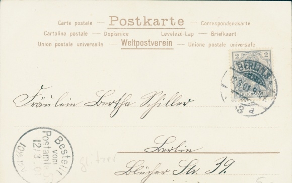 Brokat litho lato, portret kobiety, kapelusz, maki, chabry, kłosy