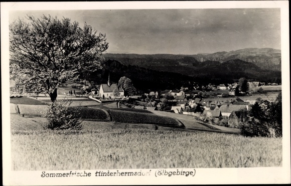 Ak Hinterhermsdorf Sebnitz, uitzicht op de stad, kerk, velden