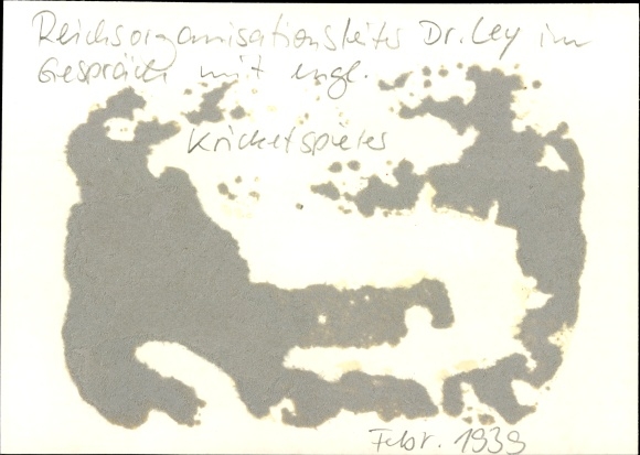 Photo H. Hoffmann, Reichsorganisationsleiter Dr. Ley talking to an English cricketer, 1939