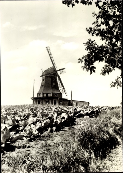 Postcard Klütz in Mecklenburg Western Pomerania, windmill