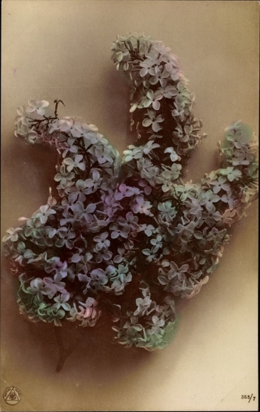 Postcard Lilac, NPG 355/7