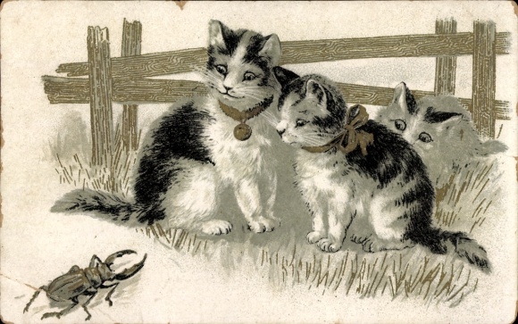 Postcard Three Cats Looking at a Stag Beetle