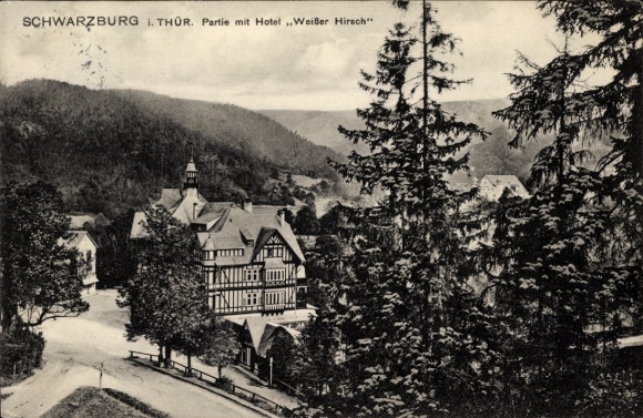 Postcard Schwarzburg in Thuringia, Hotel Weißer Hirsch, forest landscape, architecture