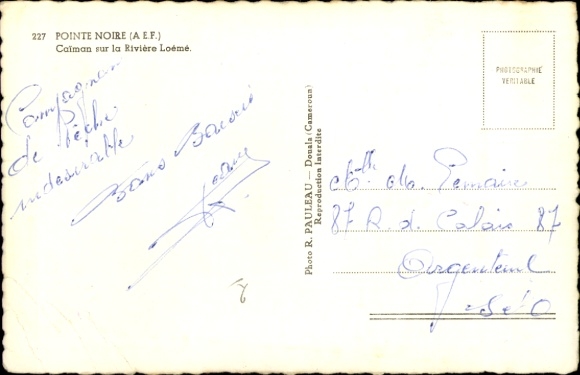 CPA Pointe Noire, Caïman sur la Rivière Loėmė