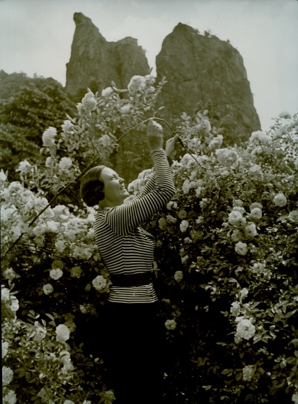 Photo Paul Wolff, Woman with a rose bush