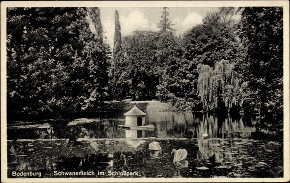Ak Bodenburg Bad Salzdetfurth in Niedersachsen, Schlosspark, Schwanenteich