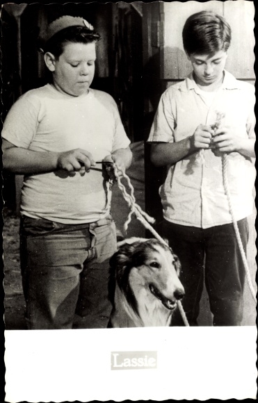 Postcard Actor, Lassie