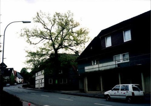 76 photos Lüdenhausen Kalletal in Lippe + surroundings
