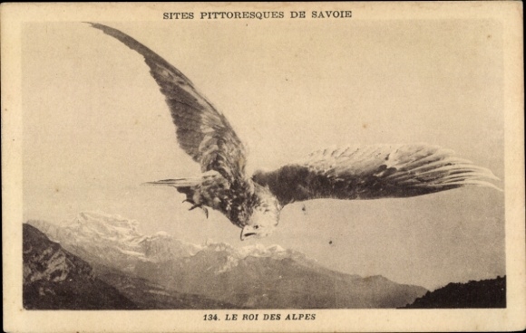 CPA Savoie, Un aigle, le Roi des Alpes