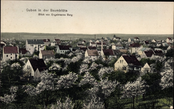 Ak Guben in Niederlausitz, uitzicht vanaf Engelmanns Berg, boombloesem